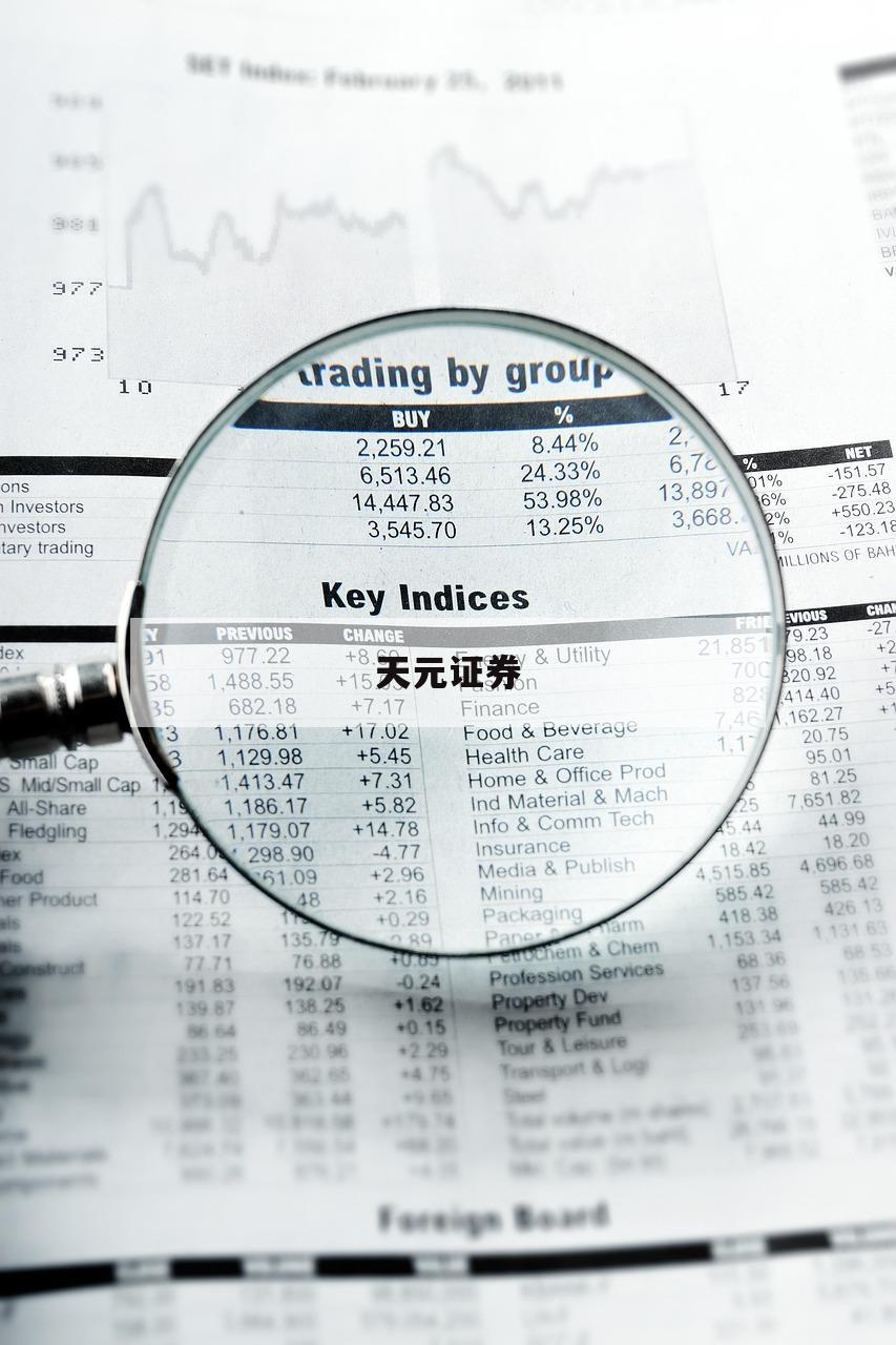深度分析：配资网的优势与风险评估