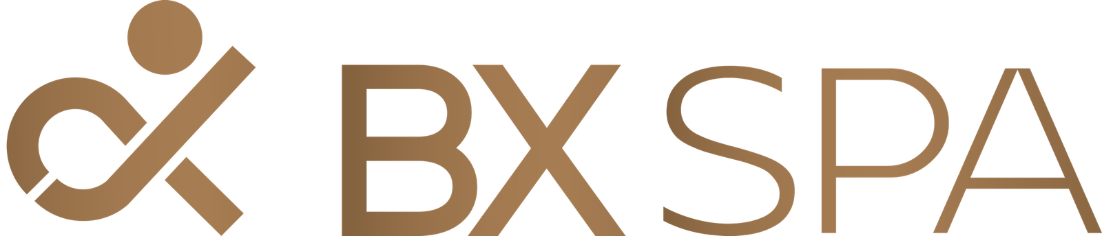 BX Spa
